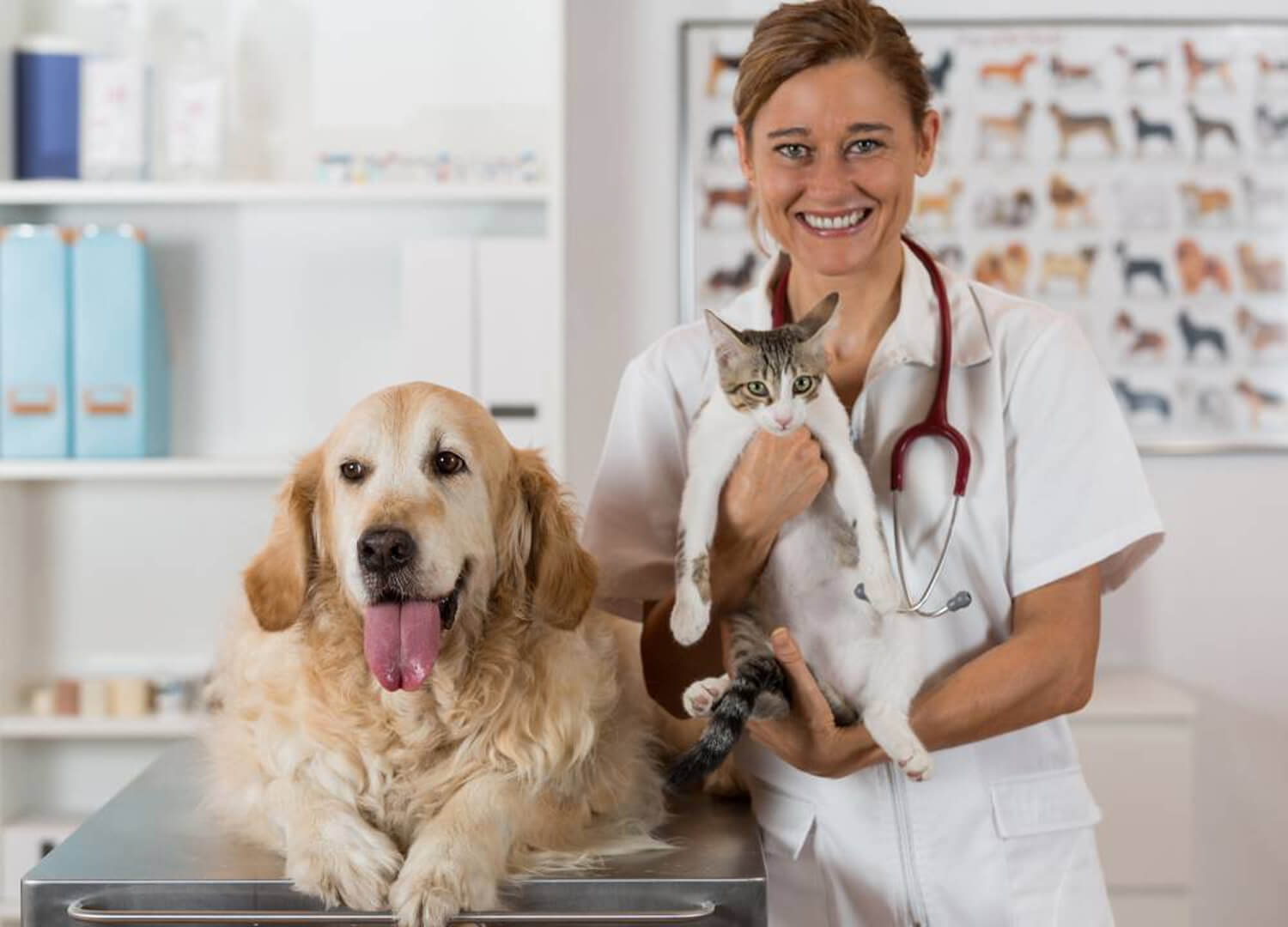 Pets-and-pet-care