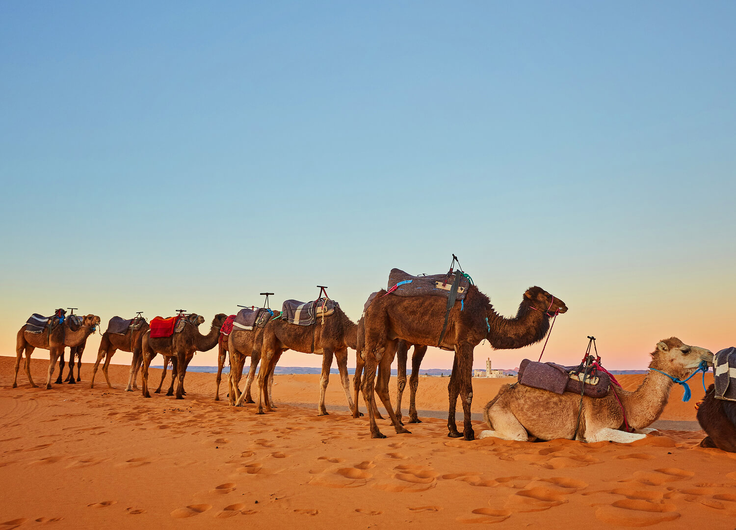 travel-and-tour